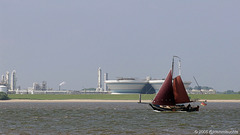 Traditons-Yacht (?) bei Stadersand (2005)