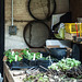 Wet Afternoon in March-Potting Shed