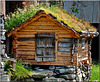 Geiranger : la classica casetta norvegese con prato sul tetto