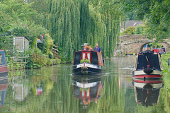 Shropshire Union canal reflections