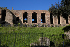 Palastmauern am Palatin/ Rom