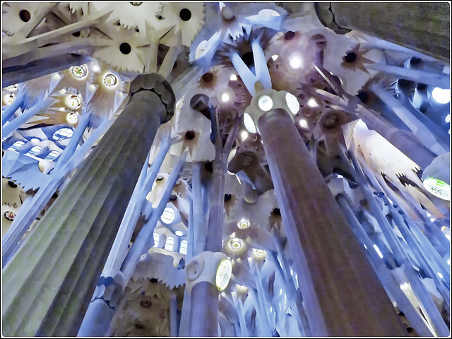 Barcellona: Le possenti colonne che reggono la Sagrada Familia - la costruzione di questa cattedrale è iniziata nel 1875 , oggi è quasi terminata - nel 2010 è stata consacrata come Basilica - Antoni G