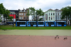 Rotterdam 2017 – Tram on the Mauritsweg