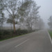 Mist on the road... I love Winter !