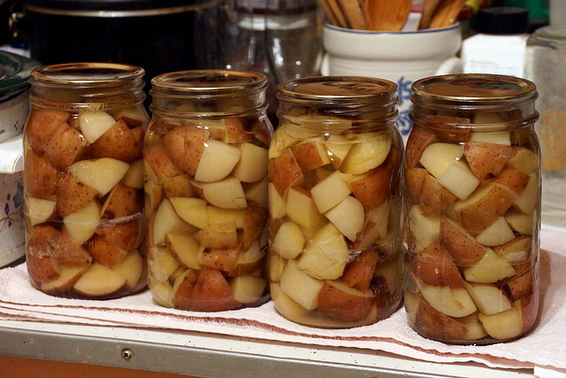 Canned Potatoes