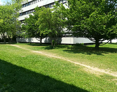green campus