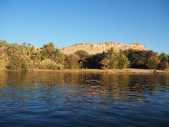 Nilufer in der Nähe von Assuan