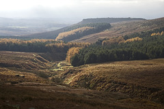 The Golden Valley - Burbage and Carl Wark in the autumn sunshine