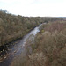 River South Tyne At Lambley