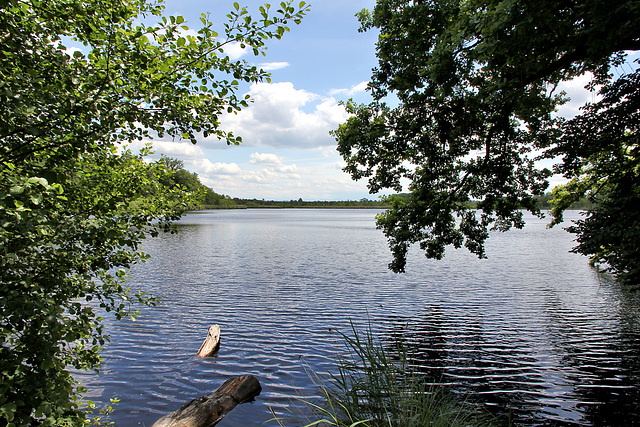 Häckler Weiher - einer der Seen der Blitzenreuter Seenplatte