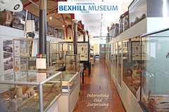 Interesting, odd, surprising Bexhill Museum 10 9 2022