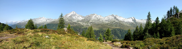 Panoramablick vom Rötkreuz auf die gegenüberliegende Talseite des Ahrntals