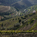 The Douro Valley   -   Port  Wine