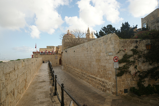 On The Ramparts Of Mdina