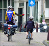 Amsterdam : catture in strada