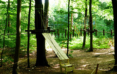 Waldkletterpark