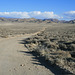 Road to Shoshone Pass