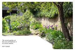 Lewes station secret garden - 30 4 2022