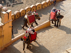 Amer- Amber Fort- Procession of Pachyderms