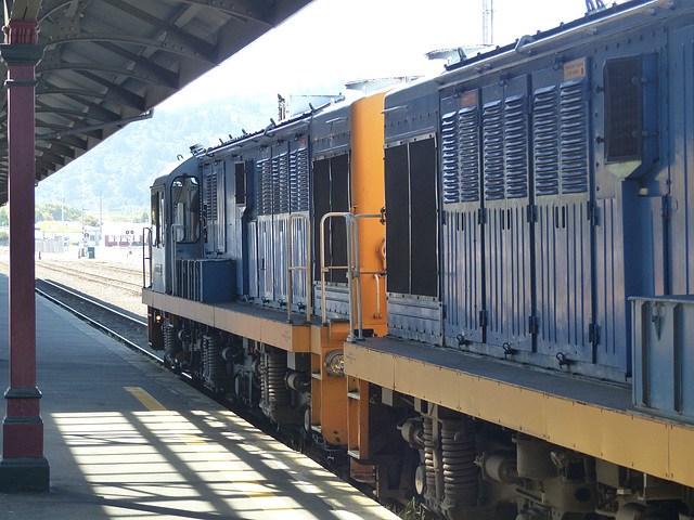 Taieri Gorge Railway (33) - 1 March 2015