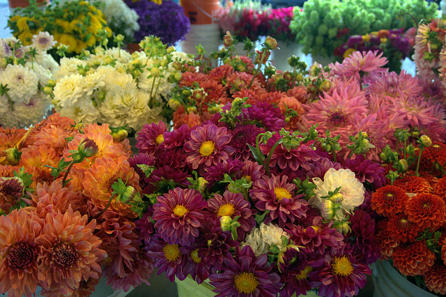 Flowers, Pike Place Market