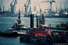Hoch die Arme! Noch richtig viele Kräne über dem Hamburger Hafen 1984