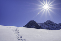 Sonne ... Schnee ... Berge ... (^_^) ... P.i.P. ... (© Buelipix)