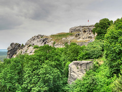Blick zur Burgruine Festung Regenstein