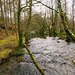 A stream in Llanberis