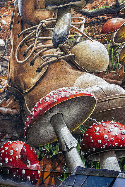 Mushroom Picker Mural