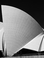 SOH, SYD, NSW - the roof