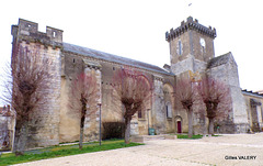 Courçon (Charente Maritime) (Église Notre-Dame) (1)
