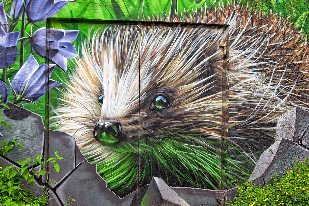 Hedgehog Mural