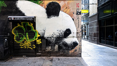 Panda Mural