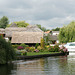 Thatched Roofs In Horning