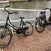 Bicycles from the black lagoon