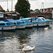 Day Boats And Swans On The Bure