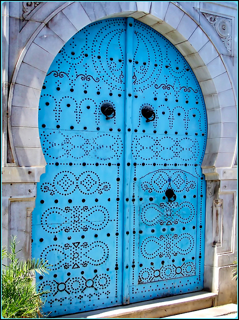 Tunisi : Una bella porta nella Medina