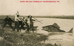 Landing a Pike—How We Do Things at Harrisburg, Pa.