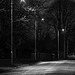 Feb 10: more street lights