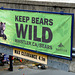 'Keep Bears Wild'