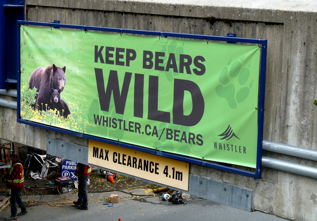 'Keep Bears Wild'