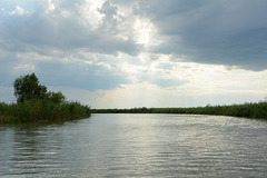 Один из рукавов дельты Дуная / One of the branches of the Danube delta
