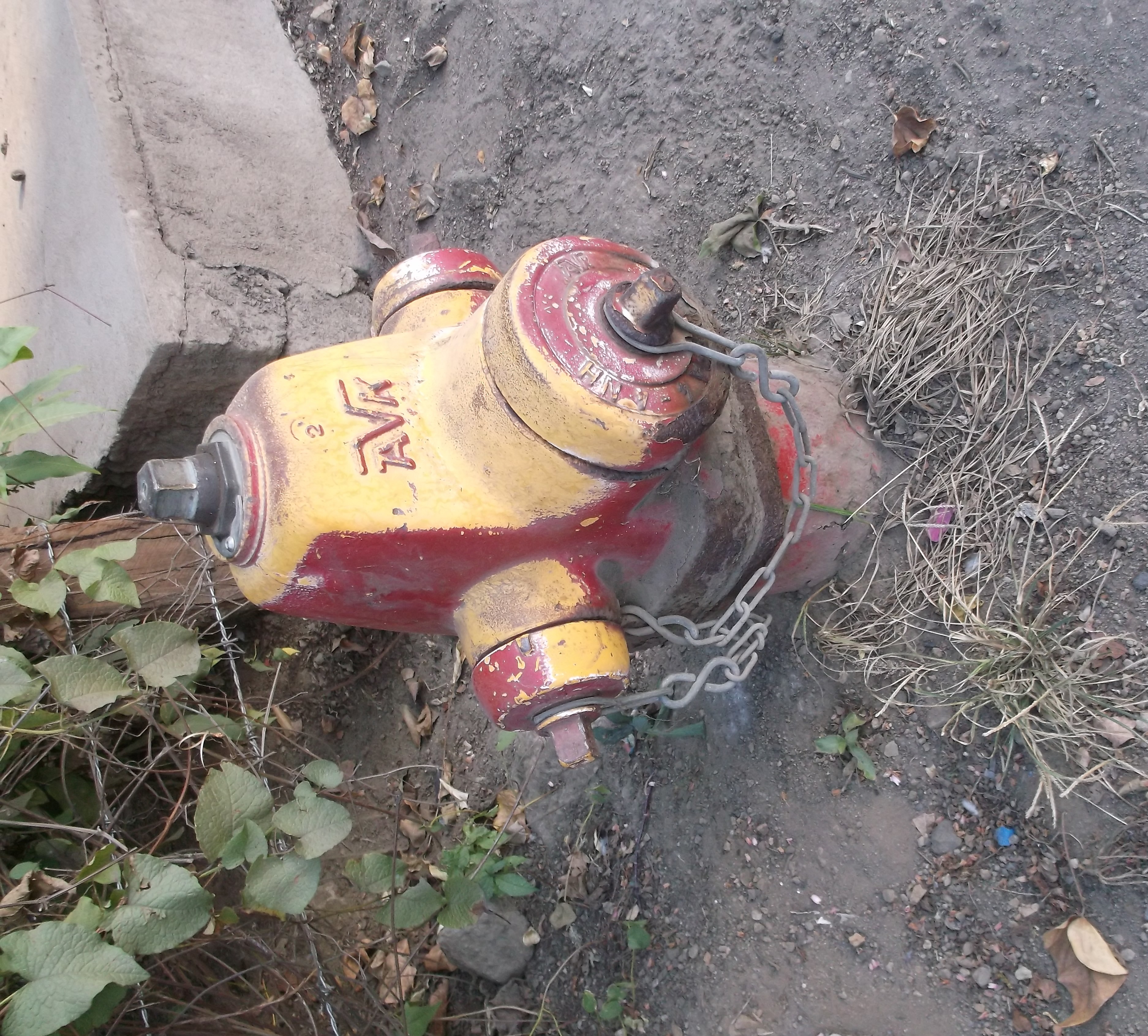 AVK hydrant