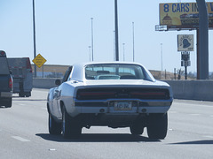 Charger In The Wild