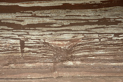 Patterns in the sandstone- Close up