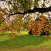 Herbstimpressionen im Park