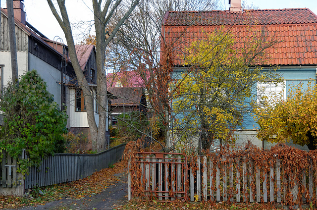 Maisons en bois à Nummi (1)