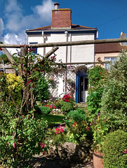 Mum's garden once more!