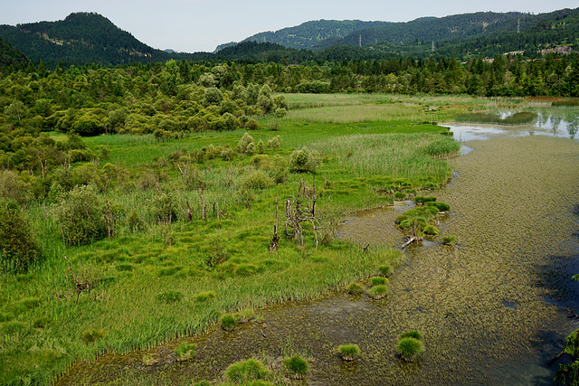 Naturschutzgebiet Pflach